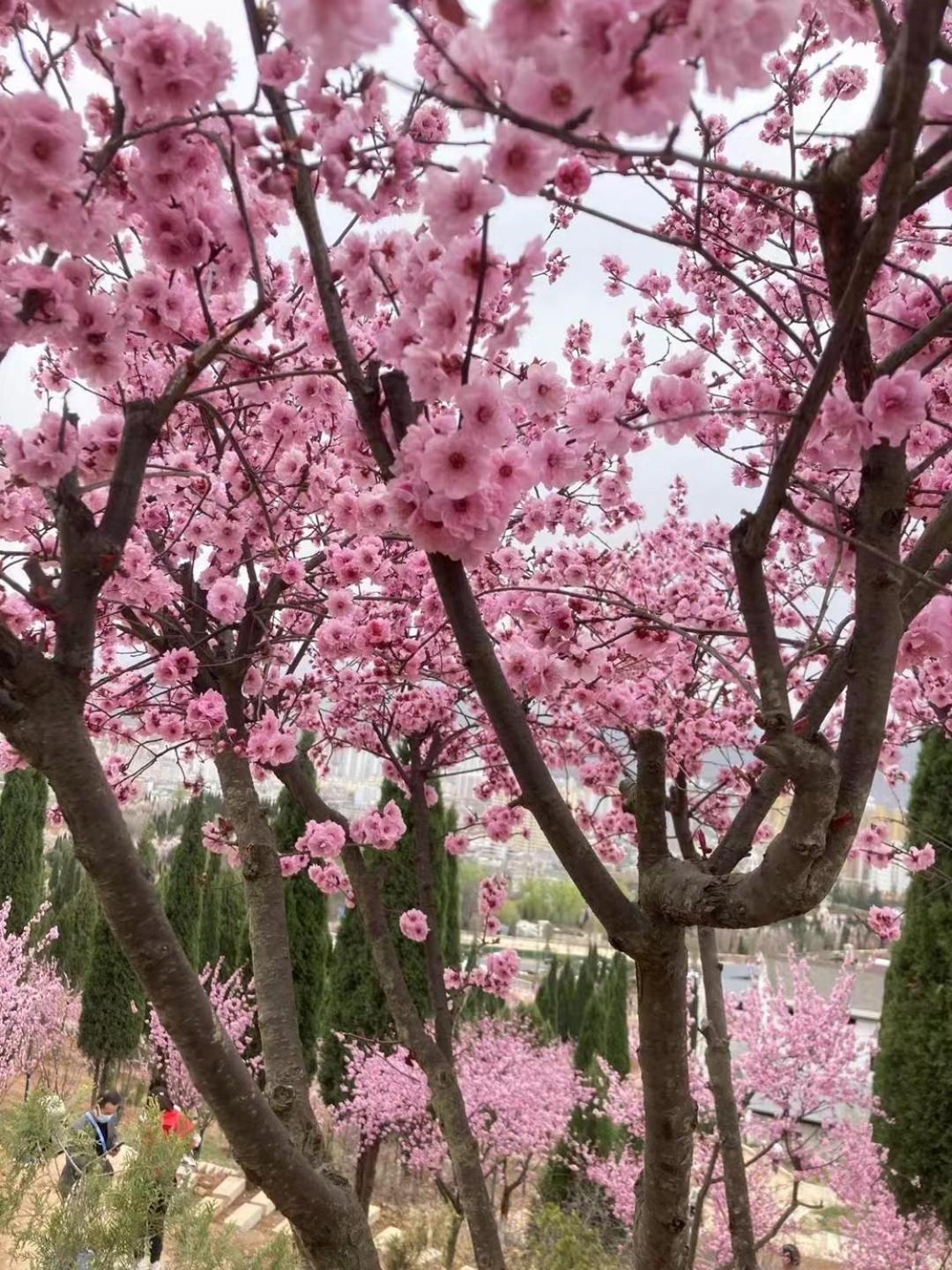 East Sacred ᴸᴱo---foreign Accept---tourism Service English-speaking 丨 Near Tiananmen Forbidden City丨very Close To Metro Zhangzizhong And Beixinqiao 丨european Foot Ball English丨free Advance Tickets And Laundry Drying Service Coffee Snacks Peking (Beijing)
