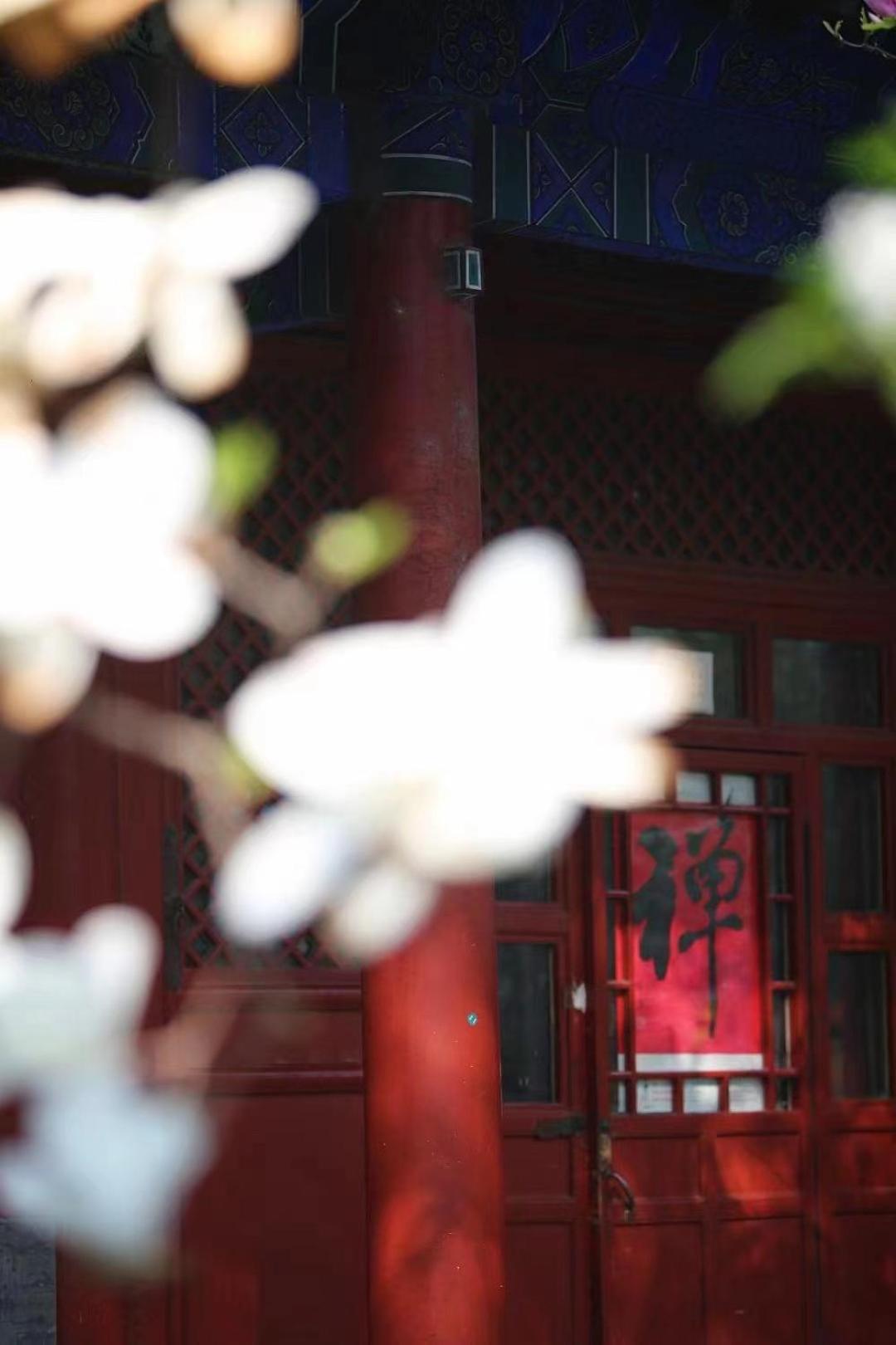East Sacred Hotel: Near Tiananmen & Metro, Free Amenities 4* Pequim